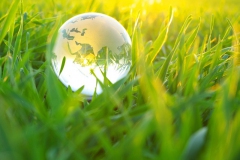 globe in  grass