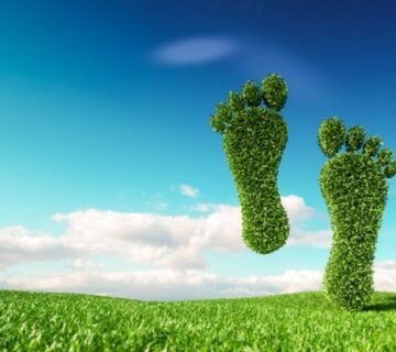 محاسبه ردپای کربن